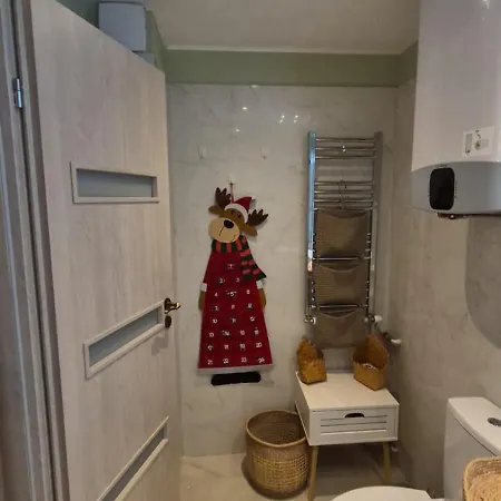 Ina Herastrau Apartment