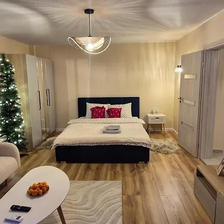 Ina Herastrau Appartement Bucarest