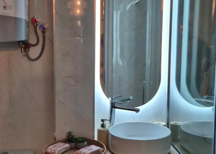 Ina Herastrau Appartement